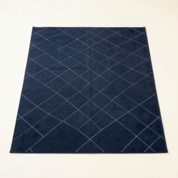Birch Crossing Rectangular Area Rug - Navy (synthetic illustration; no displayed measurements)