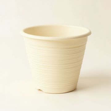 Hazel Bridge Empty Planter - Ivory (synthetic illustration; no displayed measurements)