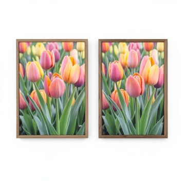 Translucent Tulips Ii Sq Aqua Crop - 2 Piece Picture Frame Graphic Art Print Set On Paper (synthetic illustration; no displayed measurements)