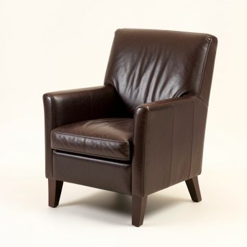Erison Leather Upholstered Dining Chair In Espresso (synthetic illustration; no displayed measurements)