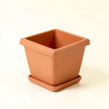 Alder Crossing Empty Planter - Terracotta (synthetic illustration; no displayed measurements)