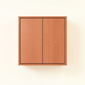 Hazel Dale Wall-Mounted Entry Cabinet - Terracotta (synthetic illustration; no displayed measurements)