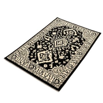 Burford Bohemian Ikat Black / Ivory Area Rug (synthetic illustration; no displayed measurements)