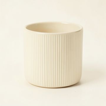 Spruce Brook Empty Candle Holder - Ivory (synthetic illustration; no displayed measurements)