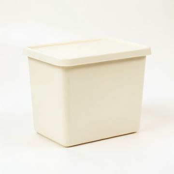 Rowan Branch Closed Outdoor Storage Box - Cream (synthetic illustration; no displayed measurements)