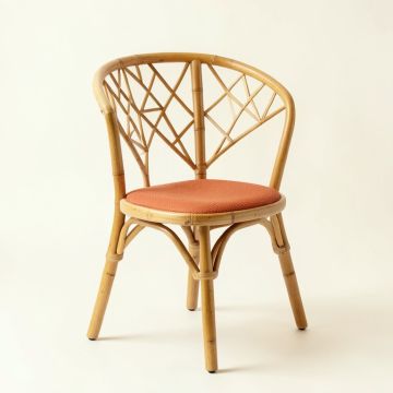 Willow Brook Dining Chair - Terracotta (synthetic illustration; no displayed measurements)
