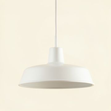 Hill Arc Pendant Light Suspended From One Plain Cable (synthetic illustration; no displayed measurements)