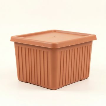 Bay Branch Closed Outdoor Storage Box - Terracotta (synthetic illustration; no displayed measurements)