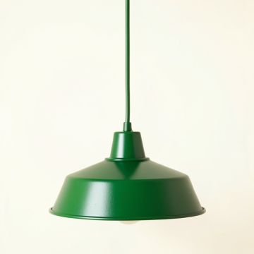 Bay Dale Pendant Light Suspended From One Plain Cable - Green (synthetic illustration; no displayed measurements)