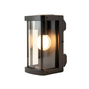 Aurelia Outdoor Barn Light