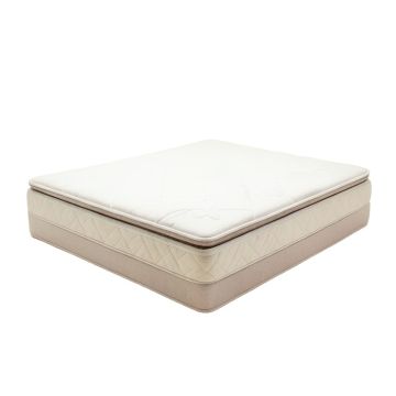 Pimpimsky 12 '' Plush Memory Foam Mattress