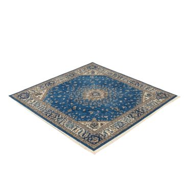 Arteaga Oriental Blue Area Rug