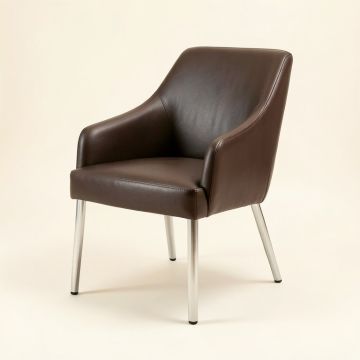 Braatz Leather Upholstered Side Dining Chair In Brushed Chrome (synthetic illustration; no displayed measurements)