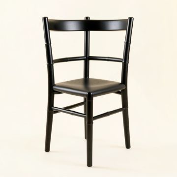 Olive Canyon Dining Chair - Black (synthetic illustration; no displayed measurements)