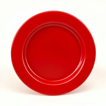 Kaleva 9 '' Melamine Salad Plate (synthetic illustration; no displayed measurements)