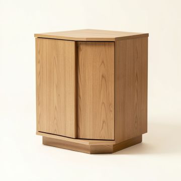 Cowen 2 Door Corner Accent Cabinet (synthetic illustration; no displayed measurements)