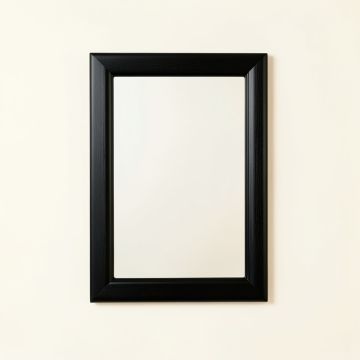 Moss Bridge Framed Wall Mirror - Black (synthetic illustration; no displayed measurements)