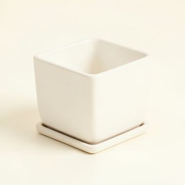 Brook Arc Empty Planter (synthetic illustration; no displayed measurements)