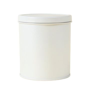 Willow Branch Storage Canister With Lid - White