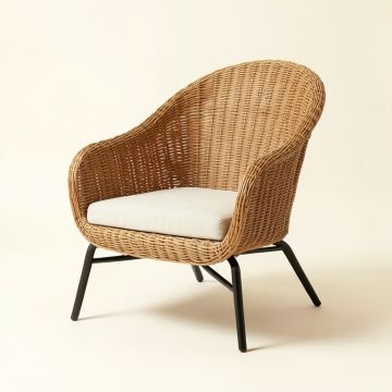 Alexus 29 '' Wide Papasan Chair (synthetic illustration; no displayed measurements)
