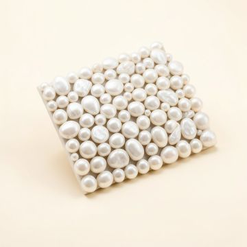 Lokahi 0.39 '' X 0.79 '' Seashell Random Mosaic Wall & Floor Tile (synthetic illustration; no displayed measurements)