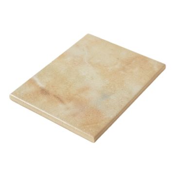 Nantucket 2 '' X 20 '' Porcelain Ceramic Singular Subway Tile