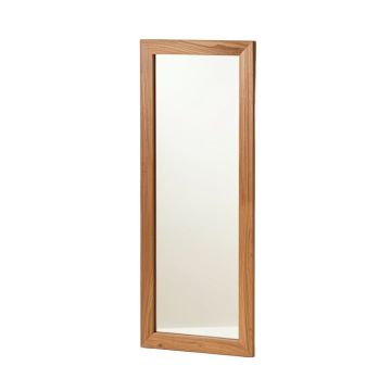 Alleghany Modern & Contemporary Full Length Mirror