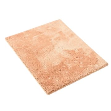 Ashton Shag Area Rug