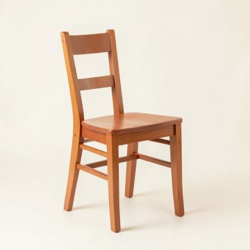 Ridge Bluff Dining Chair - Terracotta (synthetic illustration; no displayed measurements)