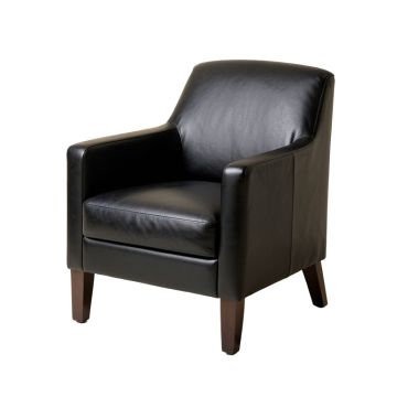 Anund Upholstered Arm Chair In Black