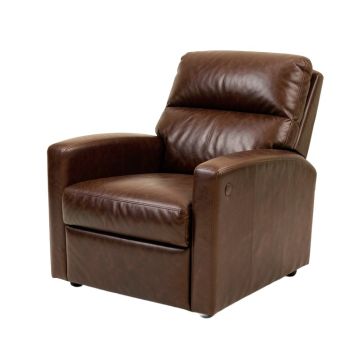 Dropati 29 '' Wide Power Lift Assist Home Theater Recliner