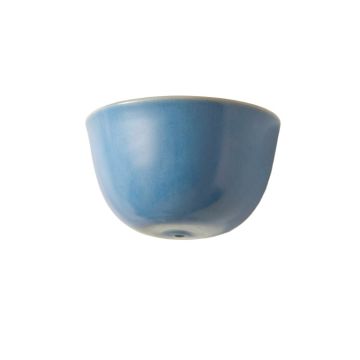 Aspen Crossing Wall Sconce Mounted On A Plain Wall - Blue
