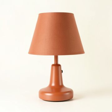 Birch Arc Table Lamp With A Plain Fabric Shade (synthetic illustration; no displayed measurements)