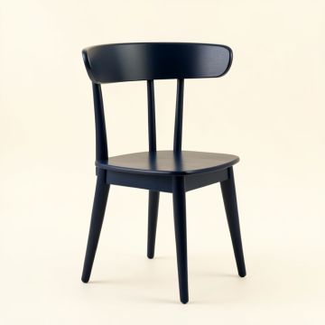 Bay Arc Dining Chair (synthetic illustration; no displayed measurements)