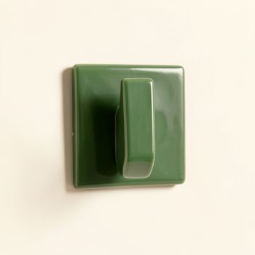Cliff Crossing Wall-Mounted Robe Hook - Green (synthetic illustration; no displayed measurements)