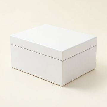 Organizer Jewelry Box (synthetic illustration; no displayed measurements)