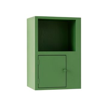 Moss Brook Wall-Mounted Entry Cabinet - Green