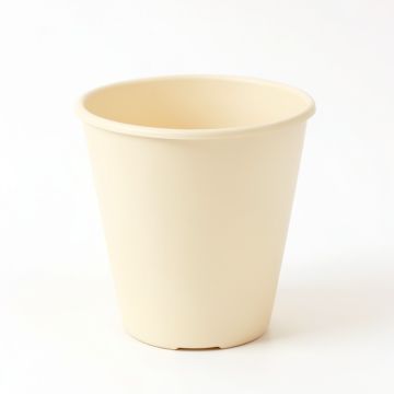 Flint Bend Empty Planter - Cream (synthetic illustration; no displayed measurements)