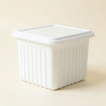 Ash Bluff Closed Outdoor Storage Box - White (synthetic illustration; no displayed measurements)