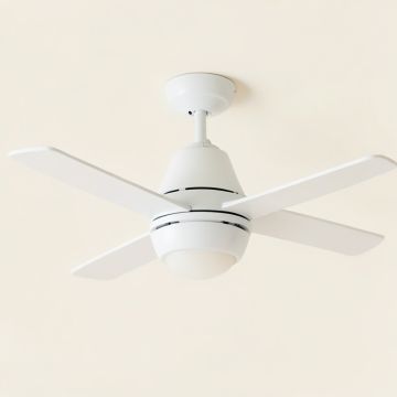 Ceiling Fan Light Kit (synthetic illustration; no displayed measurements)