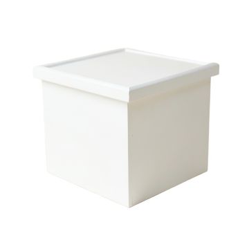 Wren Bend Closed Outdoor Storage Box - White