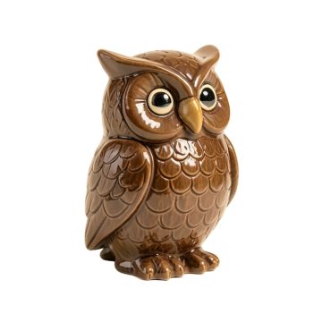 Mccarley Ceramic Owl