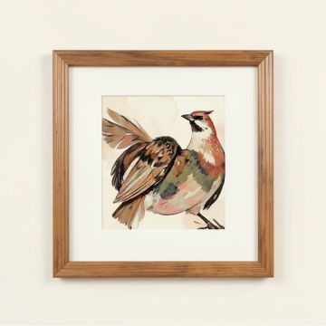 Feathered Beauty Prints By Grace Feyock - 4 Piece Picture Frame Painting Print Set On Paper (synthetic illustration; no displayed measurements)