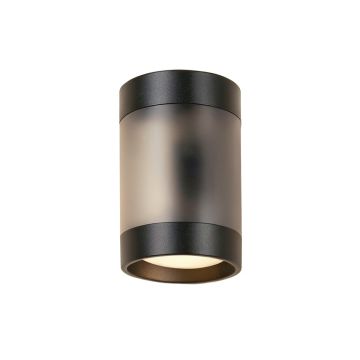 Socorro Outdoor Sconce