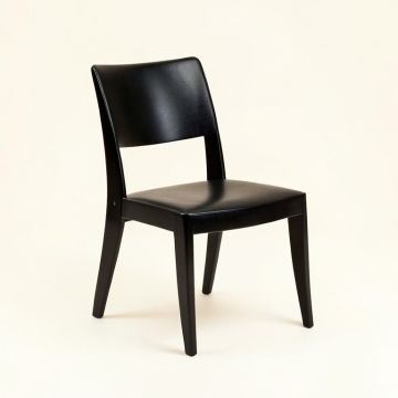 Burchfield Solid Wood Side Chair In Black (synthetic illustration; no displayed measurements)