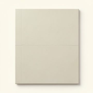 Plumosa Tile (synthetic illustration; no displayed measurements)