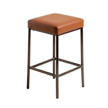 Carmelita Bar & Counter Stool