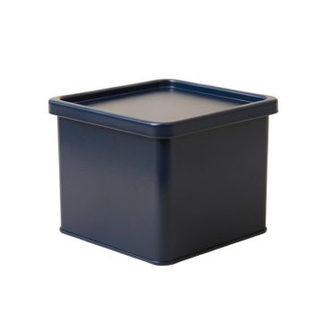 Linden Branch Closed Outdoor Storage Box - Navy