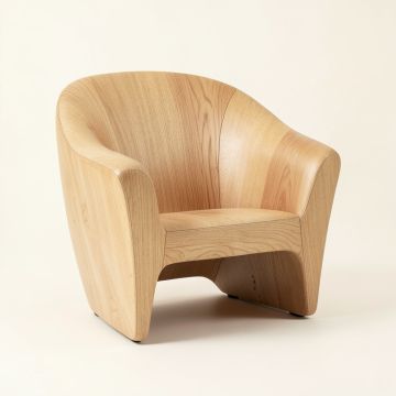 Modern Shell-Shaped Backrest Accent Chair (synthetic illustration; no displayed measurements)