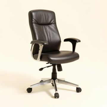 Selbyville Ergonomic Office Chair (synthetic illustration; no displayed measurements)